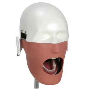 manikin_head